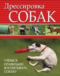 Дрессировка собак. Учимся правильно воспитывать собаку 9515ck фото