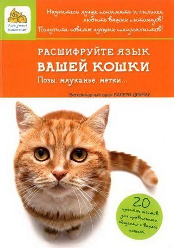 Расшифруйте язык вашей кошки. Позы, мяуканье, метки... 9516ck фото