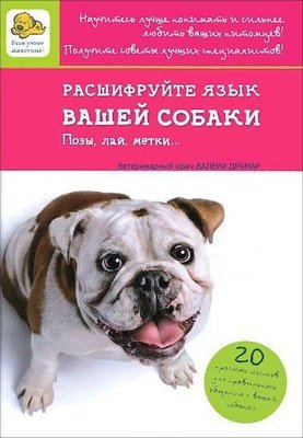 Розшифруйте мову вашого собаки. Пози, гавкіт, мітки... 9541ck фото