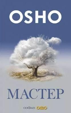 Майстер. Про перетворення інтелектуала на просвітленого 13822ck фото
