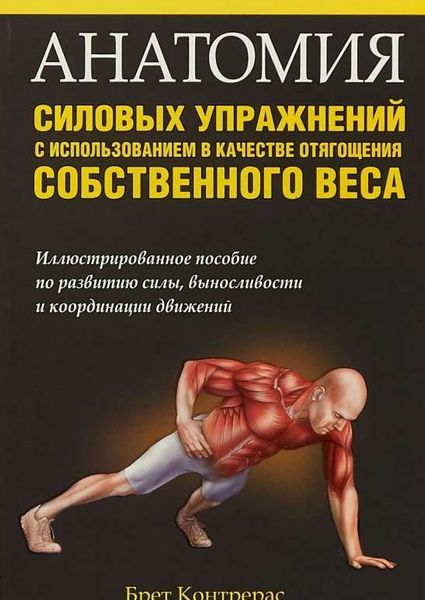 Анатомия силовых упражнений с использованием в качестве отягощения собственного веса 21ck фото