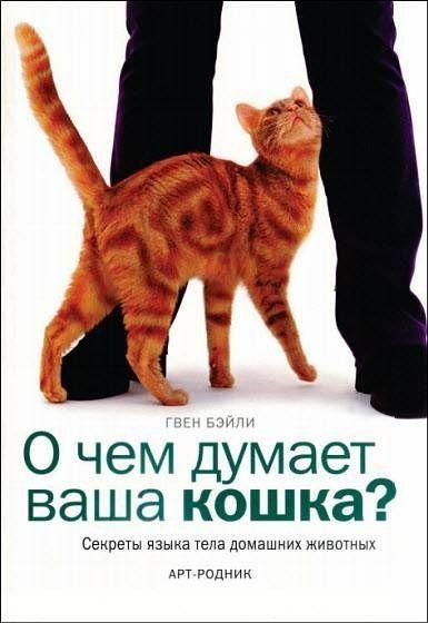 О чем думает ваша кошка 9537ck фото